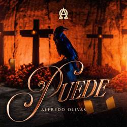 Portada de Puede