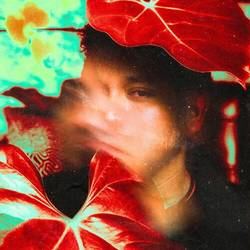 Portada de Forget About It