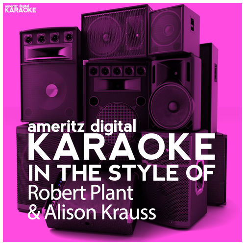 Portada de Karaoke (In the Style of Robert Plant & Alison Krauss)