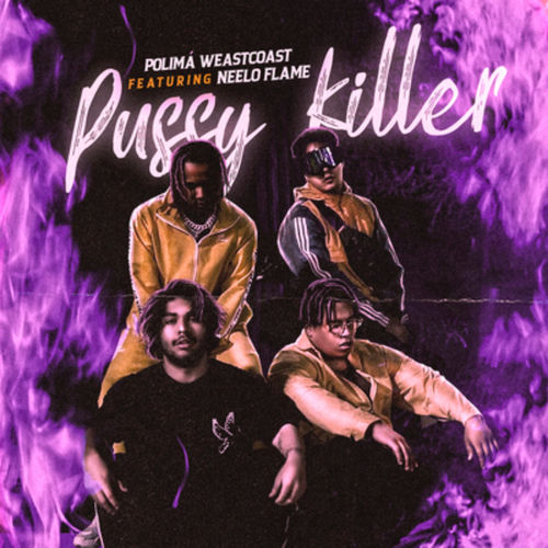 Portada de Pussy Killer