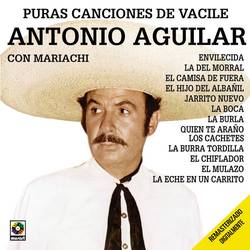 Portada de Puras Canciones de Vacile