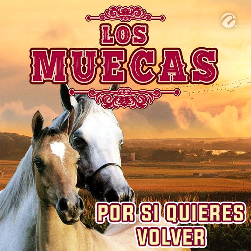 Portada de Por Si Quieres Volver