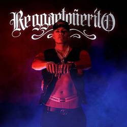 Portada de Reggaetoñerito