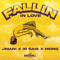 Portada de Fallin in Love