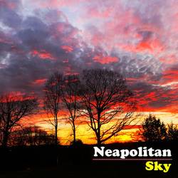 Portada de Neapolitan Sky