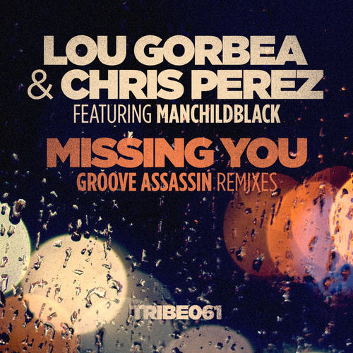 Portada de Missing You (Groove Assassin Remixes)