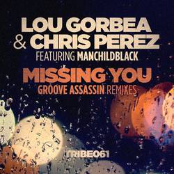 Portada de Missing You (Groove Assassin Remixes)