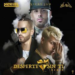 Portada de Desperte Sin Ti (Remix)