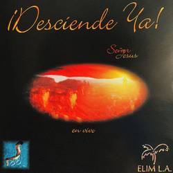 Portada de ¡Desciende Ya!