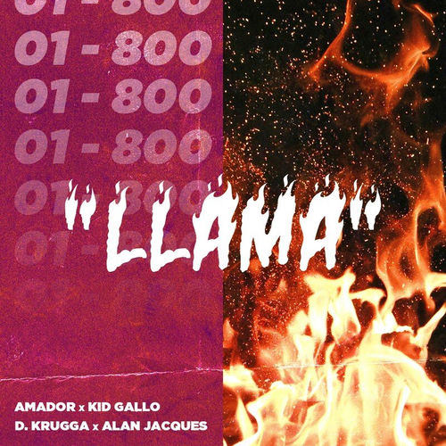 Portada de Llama