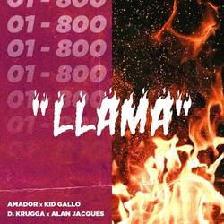 Portada de Llama