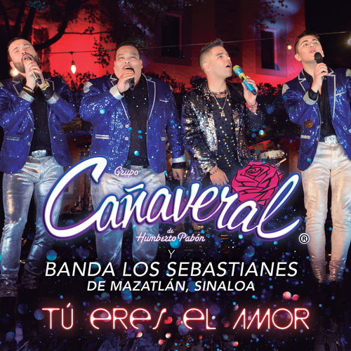 Portada de Tú Eres El Amor