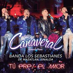 Portada de Tú Eres El Amor
