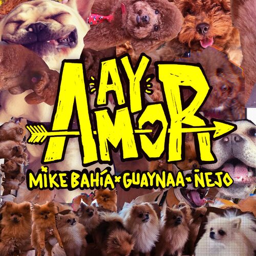 Portada de Ay Amor