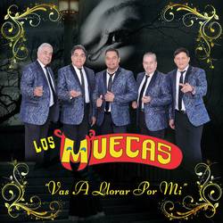 Portada de Vas a Llorar Por Mi