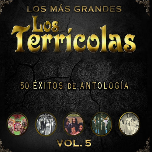 Portada de 50 Éxitos de Antología, Vol. 5