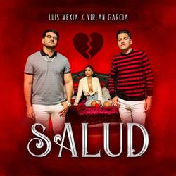 Portada de Salud