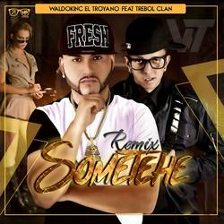 Portada de Sometehe (Remix)