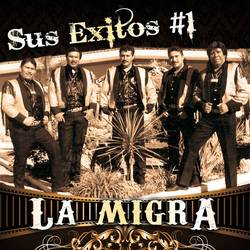 Portada de Sus Exitos #1