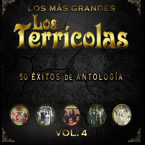 Portada de 50 Éxitos de Antología, Vol. 4