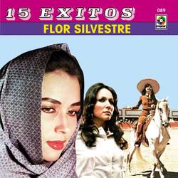 Portada de 15 Éxitos