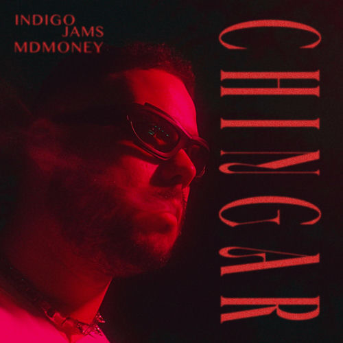 Portada de CHINGAR.