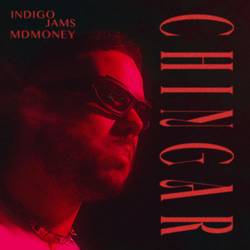 Portada de CHINGAR.