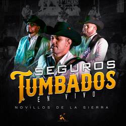 Portada de Seguros Tumbado