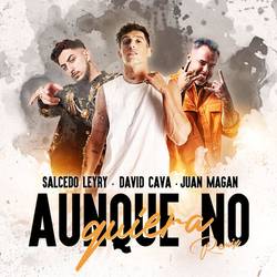 Portada de Aunque No Quiera (Remix)