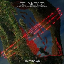 Portada de Jungle (Remixes)
