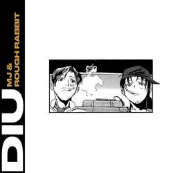 Portada de DIU