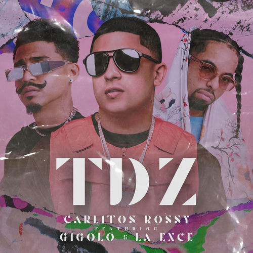 Portada de Tdz
