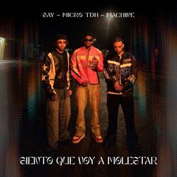 Portada de Siento Que Voy a Molestar