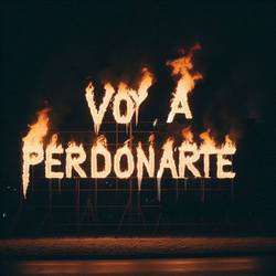 Portada de Voy a perdonarte
