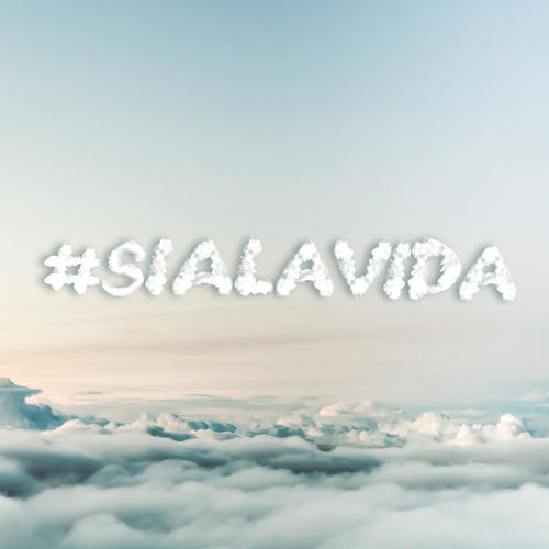 Portada de Si a la Vida