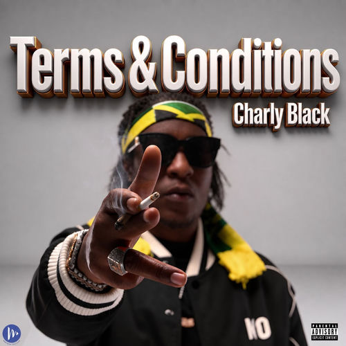 Portada de Terms & Conditions