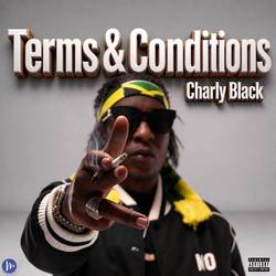Portada de Terms & Conditions