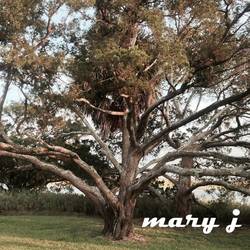 Portada de Mary J