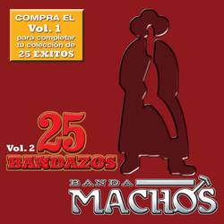 Portada de 25 Bandazos de Machos (Vol. 2) (USA)