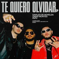 Portada de Te quiero olvidar ?