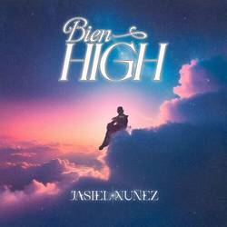 Portada de Bien High