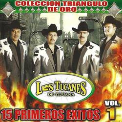 Portada de 15 Primeros Exitos Vol. 1