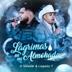 Portada de Lágrimas en Mi Almohada