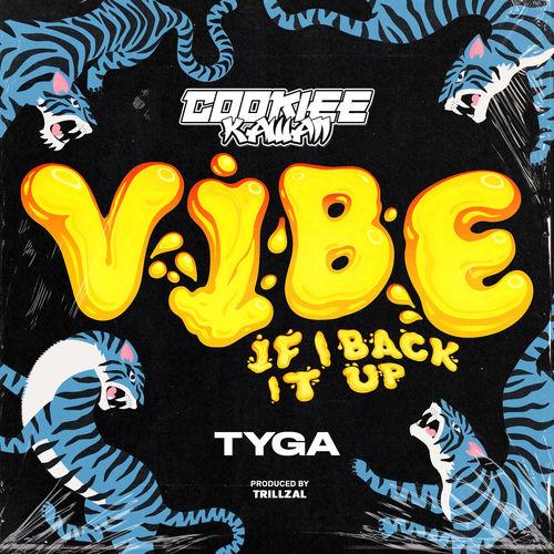 Portada de Vibe (If I Back It Up)