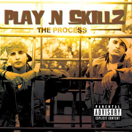 Portada de The Process