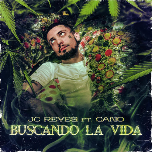 Portada de Buscando la vida