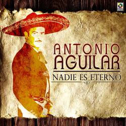 Portada de Nadie Es Eterno