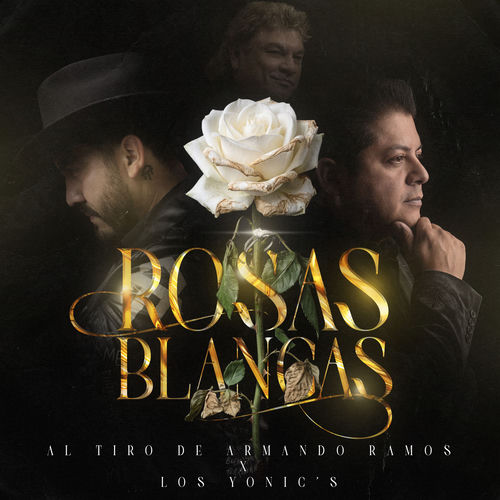 Portada de Rosas Blancas