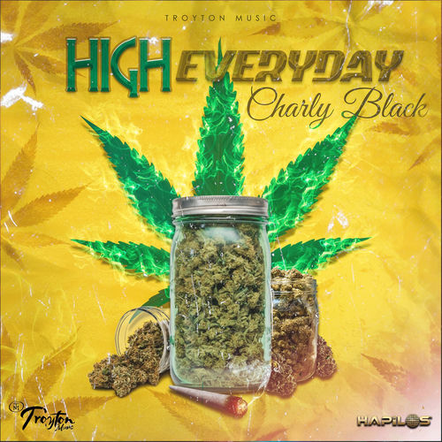 Portada de High Everyday