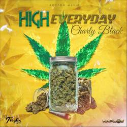 Portada de High Everyday